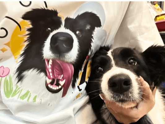 Wear Your Heart on Your Sleeve: The Joy of Pet-Themed T-Shirts!