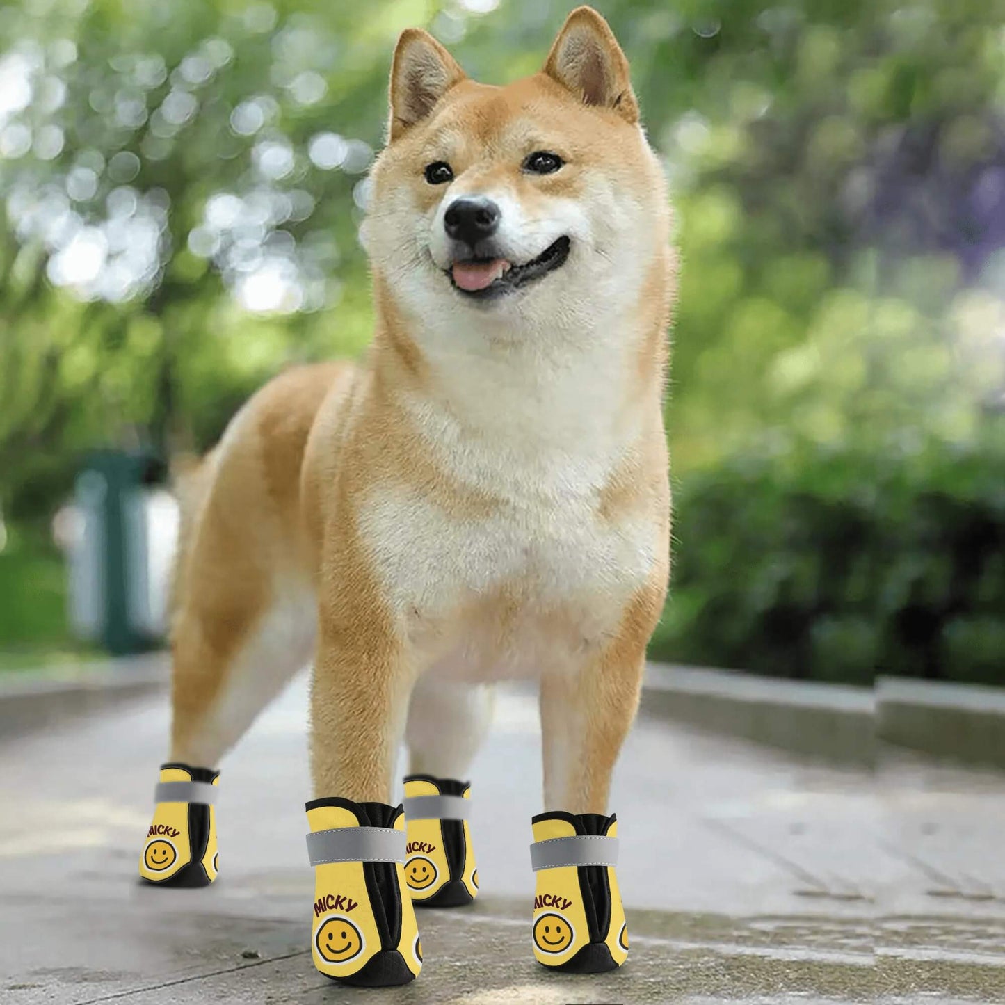 AGLUU Custom Dog Outdoor Boots - Smiling