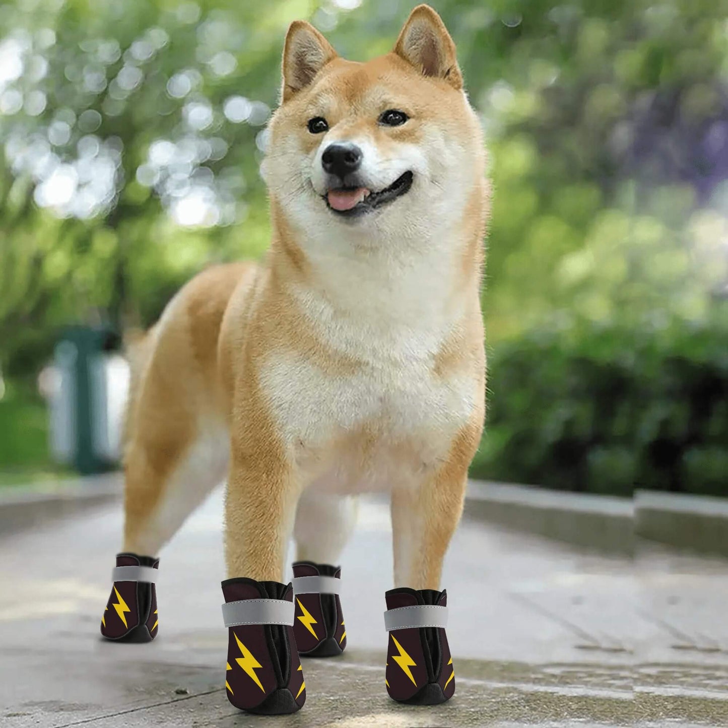 AGLUU Dog Outdoor Boots - Lightning