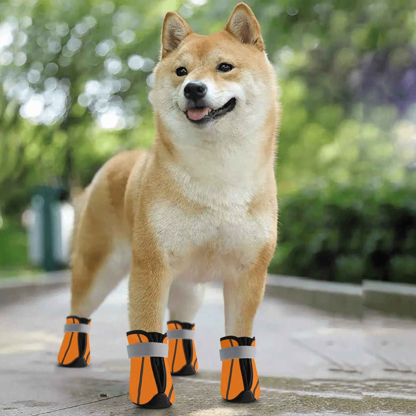 AGLUU Dog Outdoor Boots - Pumpkin Shoes