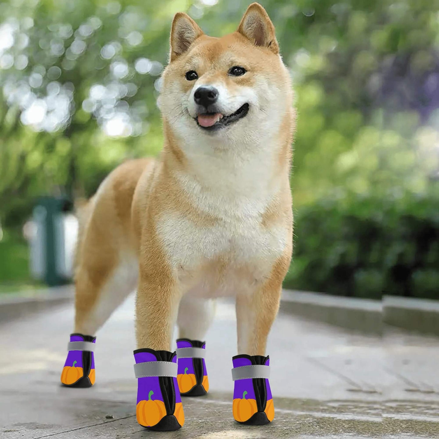 AGLUU Dog Outdoor Boots - Halloween Pumpkin