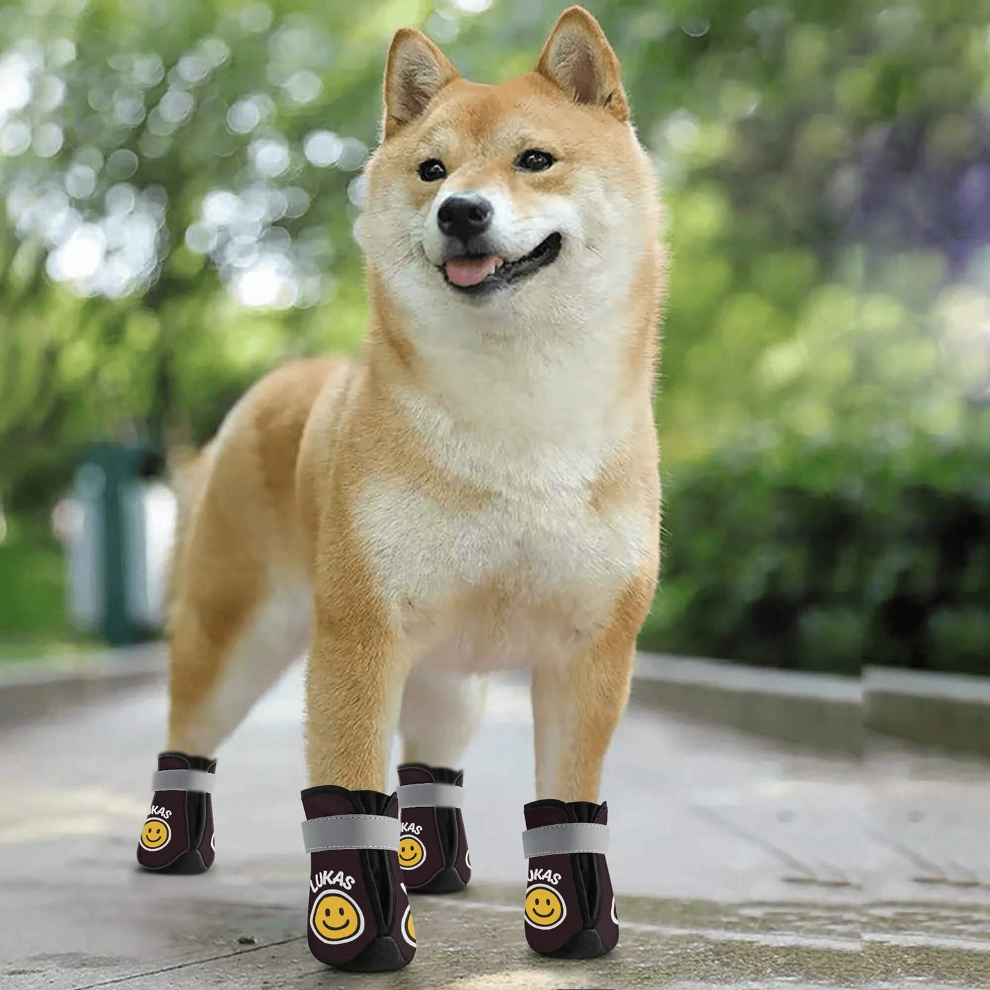 AGLUU Custom Dog Outdoor Boots - Smiling