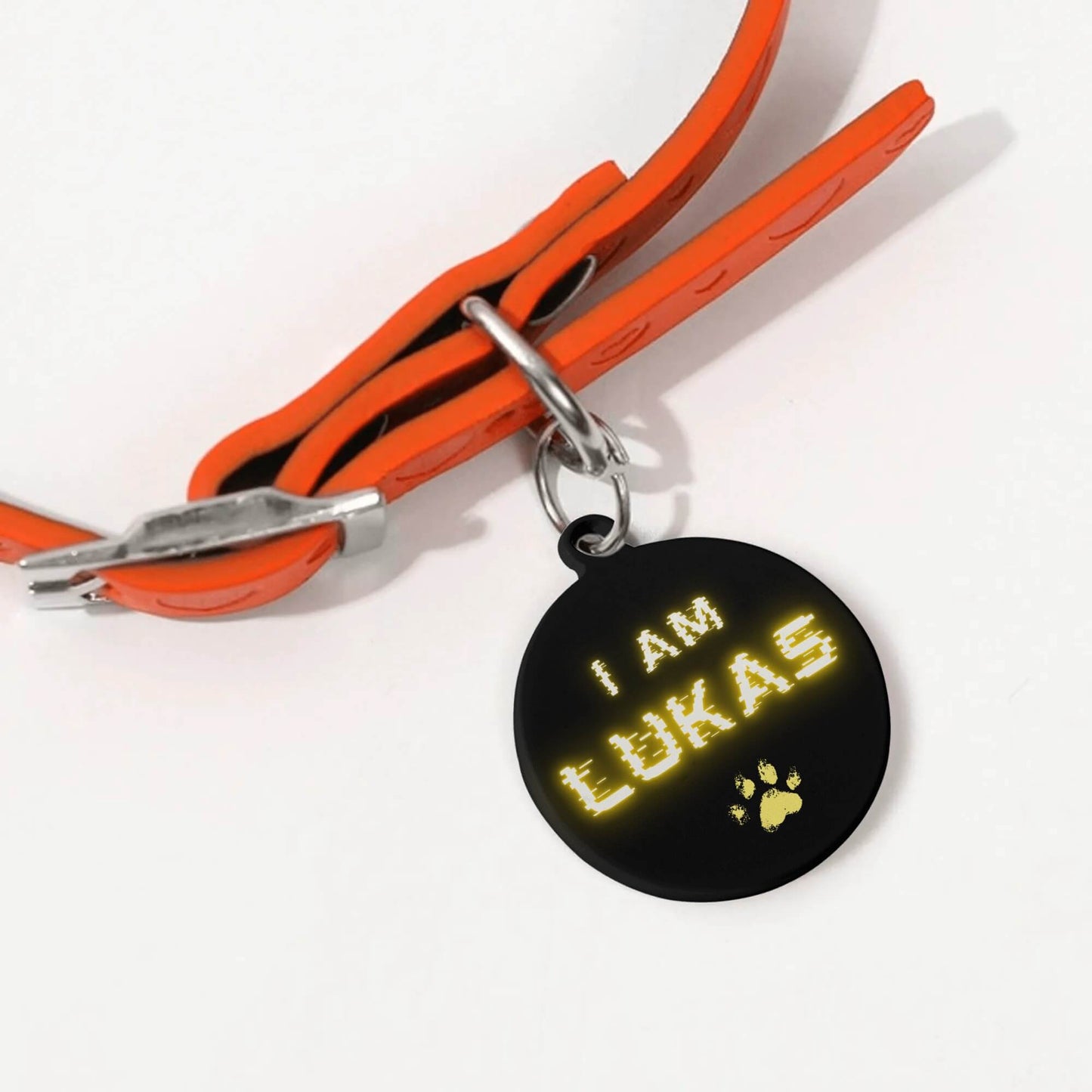 Custom Dog/Cat Tags - I Am Shining