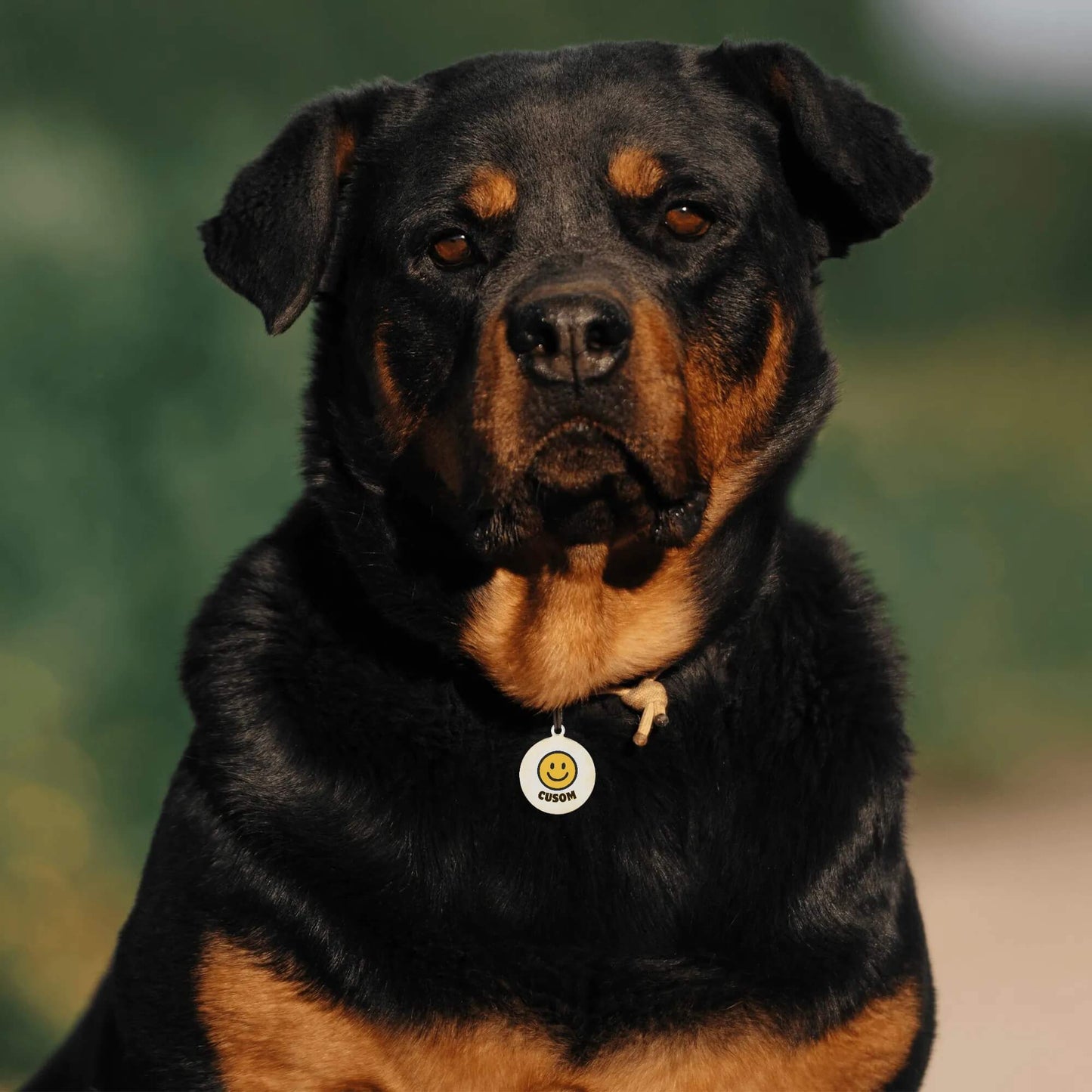 Custom Dog/Cat Tags - Smile
