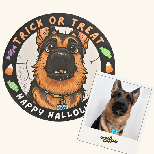 Custom Pet Rug - Trick or Treat