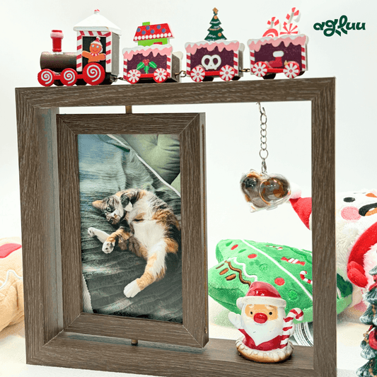AGLUU Pet Memorial Keepsake Photo Frame Kit