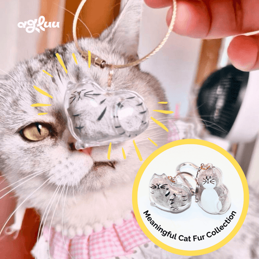 Agluu Cat Fur Keepsake Keychain