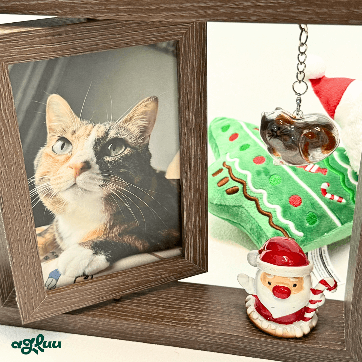 AGLUU Pet Memorial Keepsake Photo Frame Kit