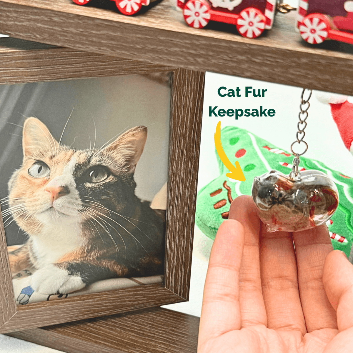 AGLUU Pet Memorial Keepsake Photo Frame Kit